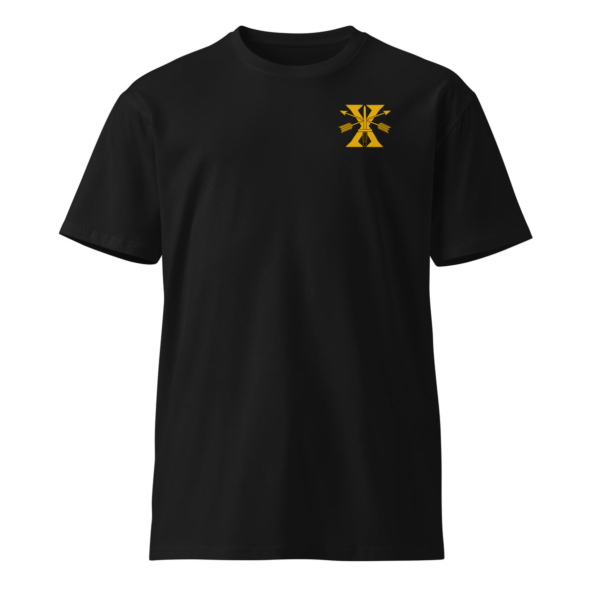 black t-shirt with 10th special forces insignia on the left chest