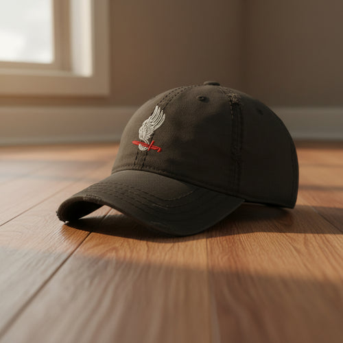 Distressed dad hat with 173rd airborne brigade insignia