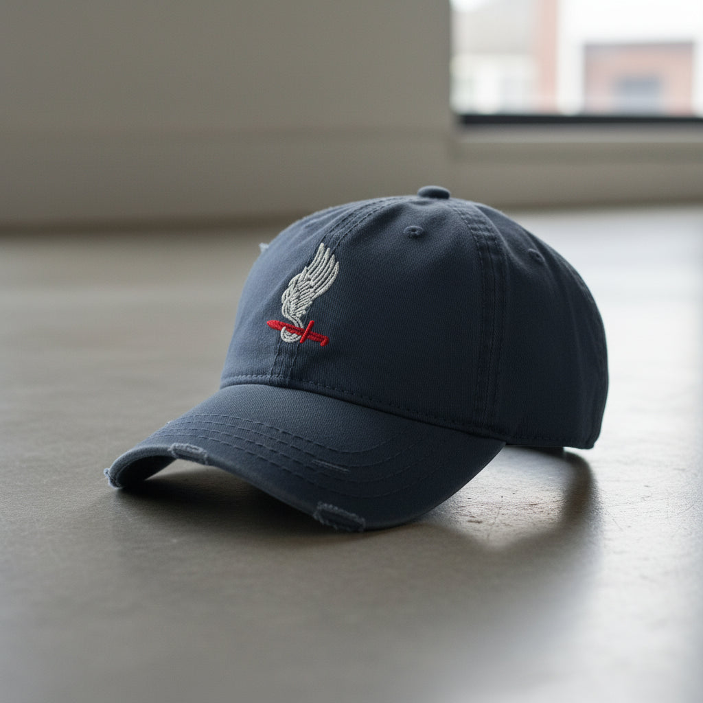 173rd Airborne Brigade Distressed Dad Hat