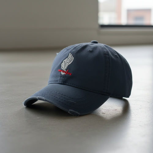 Distressed dad hat with 173rd airborne brigade insignia