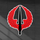 160th SOAR patch sticker.