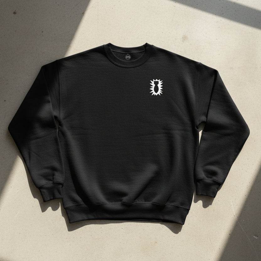 black sweatshirt with 52nd ordnance EOD insignia on the left chest